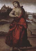Giovanni Sodoma Rome s  Luke flower bud Qi oil on canvas